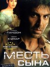 Постер сериала «Месть сына»