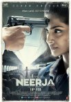 Постер сериала «Нирджа»
