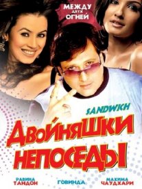 Постер сериала «Двойняшки непоседы»